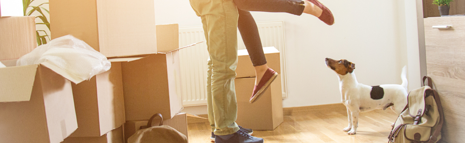 Couple hugging with dog nearby surrounded by moving boxes